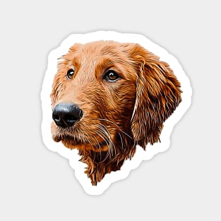 Golden Retriever Dog Head Sticker